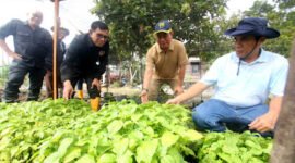 Ketua Umum (Ketum) PWI Pusat, Hendry Ch Bangun mengapresiasi wartawan menanam yang digagas PWI Kalsel. (Foto: Humas PWI Pusat/Ist).