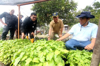 Ketua Umum (Ketum) PWI Pusat, Hendry Ch Bangun mengapresiasi wartawan menanam yang digagas PWI Kalsel. (Foto: Humas PWI Pusat/Ist).