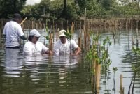Aktivis Lingkungan Hidup Tangerang (Kalung) saat aksi penanaman ribuan mangrove. (Foto: Suara Realitas).