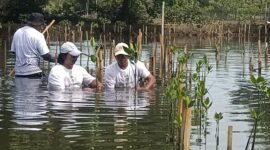 Aktivis Lingkungan Hidup Tangerang (Kalung) saat aksi penanaman ribuan mangrove. (Foto: Suara Realitas).