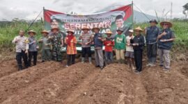 Penanaman jagung 1 juta hektar secara serentak di Wonosobo, Jawa Tengah. (Foto: Istimewa).