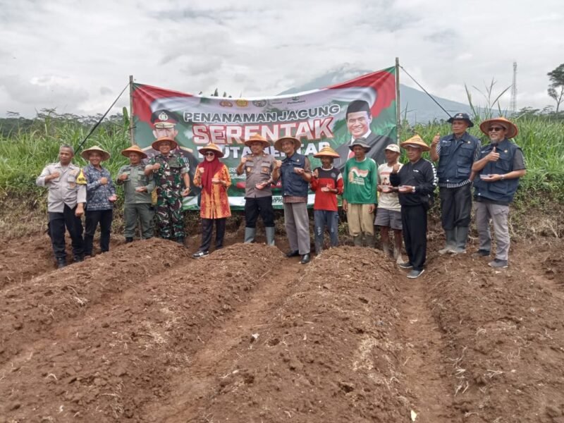 Penanaman jagung 1 juta hektar secara serentak di Wonosobo, Jawa Tengah. (Foto: Istimewa).