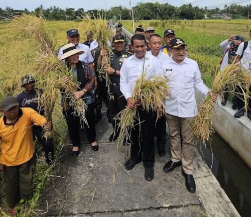 Titiek Soeharto saat meninjau jalanya panen raya bersama Menteri Pertanian Andi Amran Sulaiman di Kabupaten Bantul. (Foto: Istimewa).