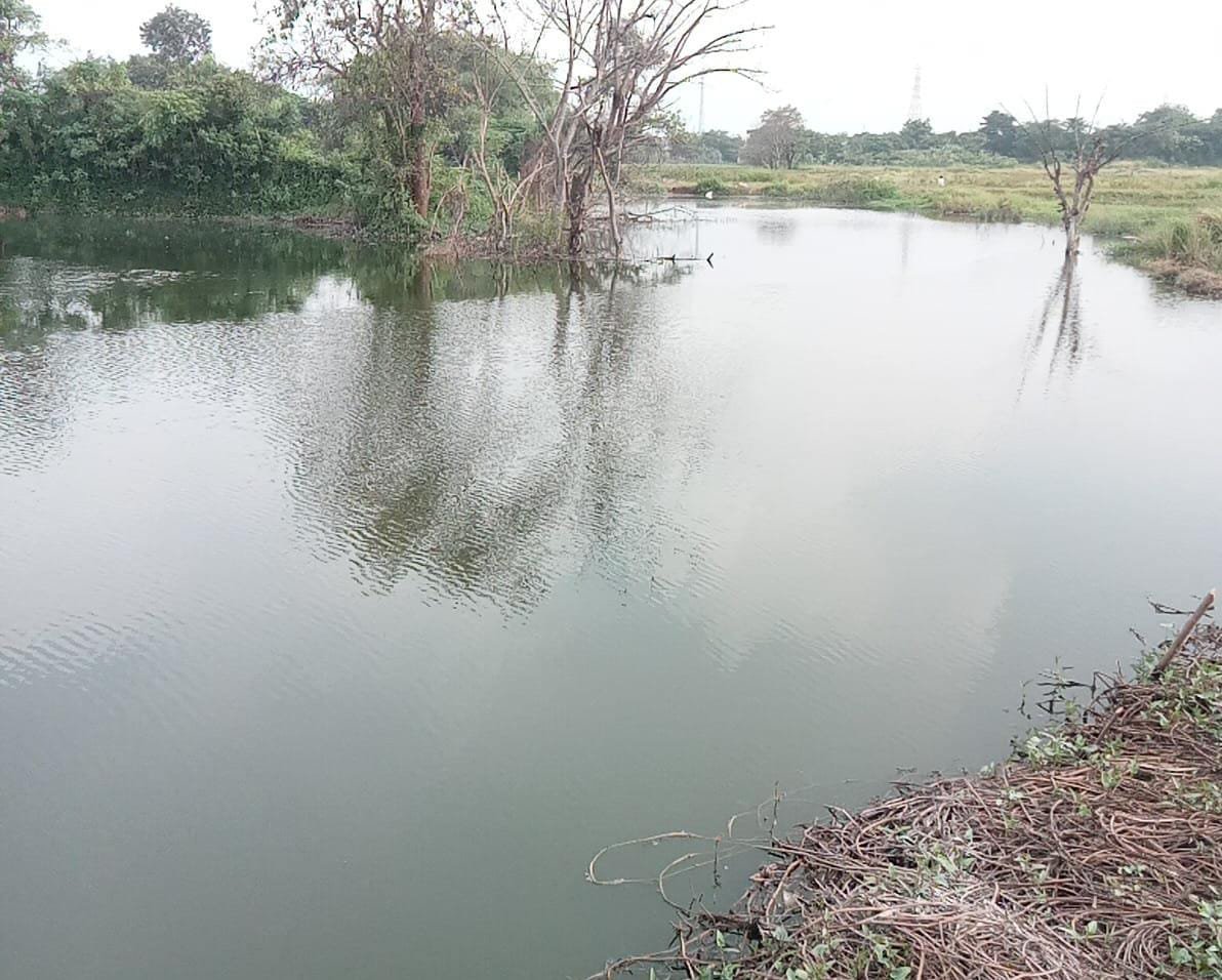 Upaya Pemulihan Danau Tercemar Limbah  Tidak Menghentikan Proses Hukum
