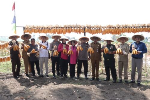 Polres Kebumen Gelar Panen Raya Jagung Serentak Tahap II di Desa Tlogopragoto