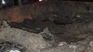 KETAHUAN: kendaraan mobil engkel maupun pick-up saat mengangkut beberapa kabel yang sudah terpotong akan dibawa dan dipasarkan. (Foto: Ekslusif suararealitas.co).