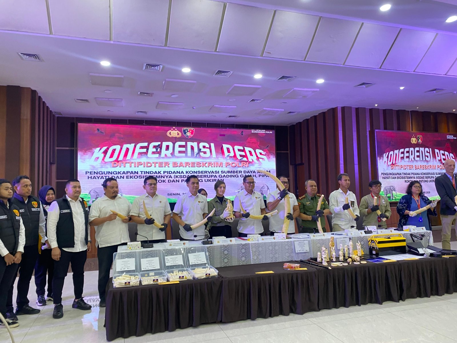 Bareskrim Polri Bongkar Jaringan Perdagangan Ilegal Gading Gajah di Jawa Barat dan Jakarta