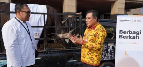 Terima Amanah, Firmanuddin Ungkap 37 Hewan Kurban Siap Disembelih