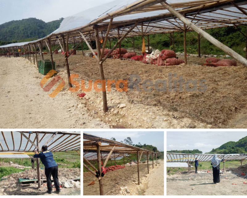 TERPANTAU: penampakkan aktivitas pabrik bulu ayam yang leluasa berdiri bebas hambatan dan hilangnya PPLH line atas sanksi yang diberikan oleh Dinas LH Kabupaten Bogor. (Foto: Ekslusif suararealitas.co/HS).
