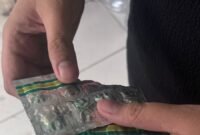 POTRET: barang bukti (bb) obat G jenis Tramadol palsu alias tanpa adanya Nomor Izin Edar (NIE) dari BPOM RI di Jalan Tubagus Ismail No. 17, Kota Bandung, Jawa Barat. (Foto: suararealitas.co/Mas Don).