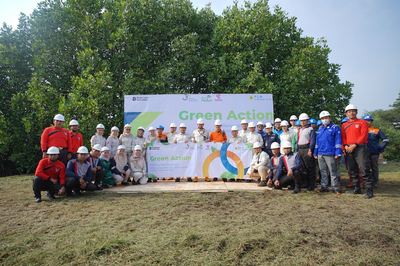 PLN Indonesia Power Nanam 5.000 Pohon Mangrove