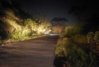 PANTAUAN: kondisi di Desa Tepian Langsat yang tak dialiri listrik, air bersih, dan minim penerangan lampu jalan selama 20 tahun, serta luput dari perhatian pemerintah pusat. (Foto: Ekslusif suararealitas.co).