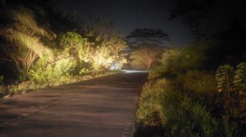 PANTAUAN: kondisi di Desa Tepian Langsat yang tak dialiri listrik, air bersih, dan minim penerangan lampu jalan selama 20 tahun, serta luput dari perhatian pemerintah pusat. (Foto: Ekslusif suararealitas.co).