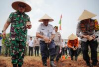 POTRET: ketahanan pangan di urban farming Semanan, Kalideres, Jakarta Barat. (Foto: Istimewa).