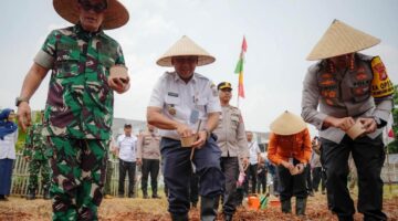 POTRET: ketahanan pangan di urban farming Semanan, Kalideres, Jakarta Barat. (Foto: Istimewa).