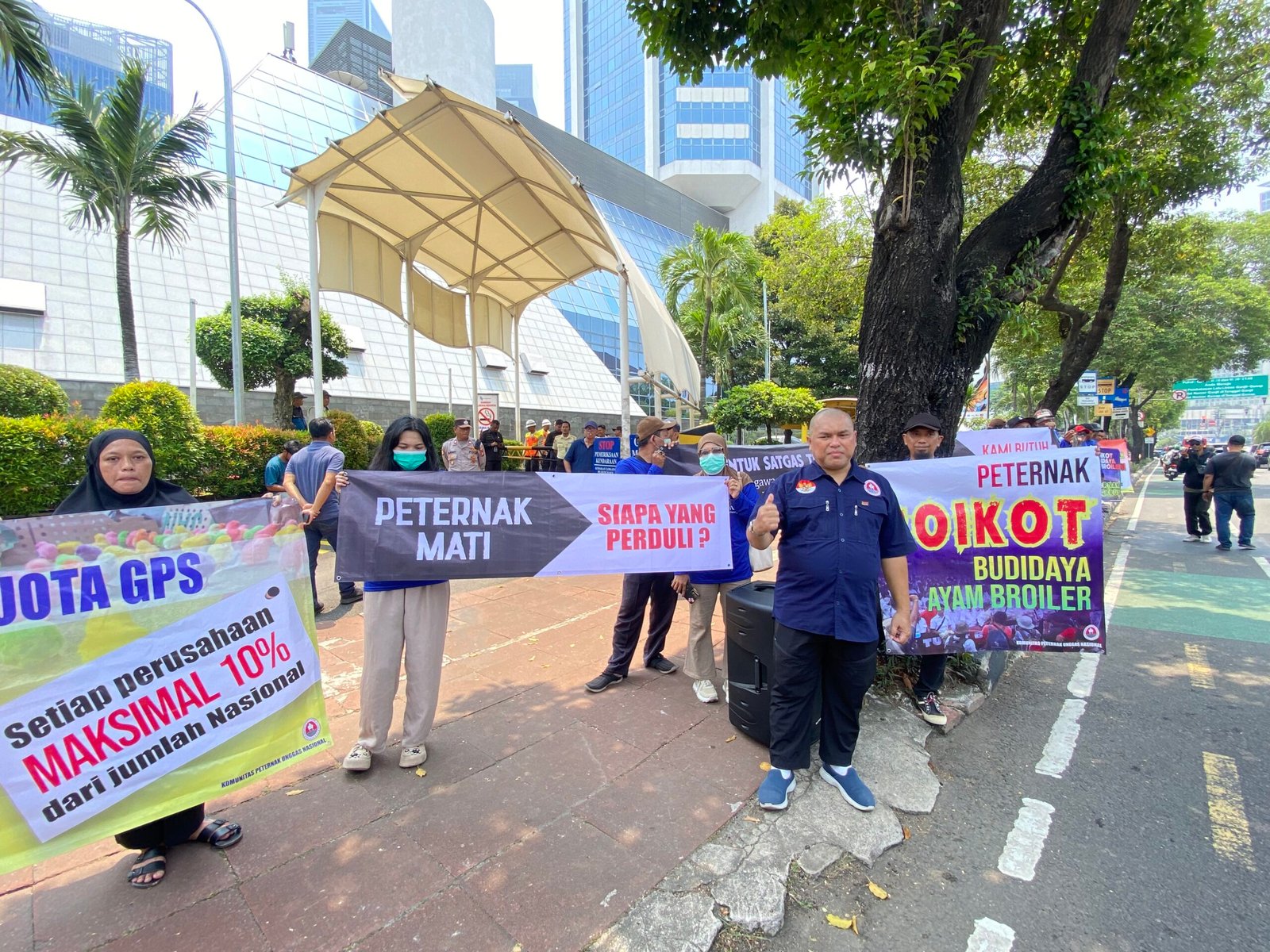 Harga Pakan Melonjak, Peternak Ayam Tuntut Pemerintah Hadir Selamatkan Usaha Rakyat