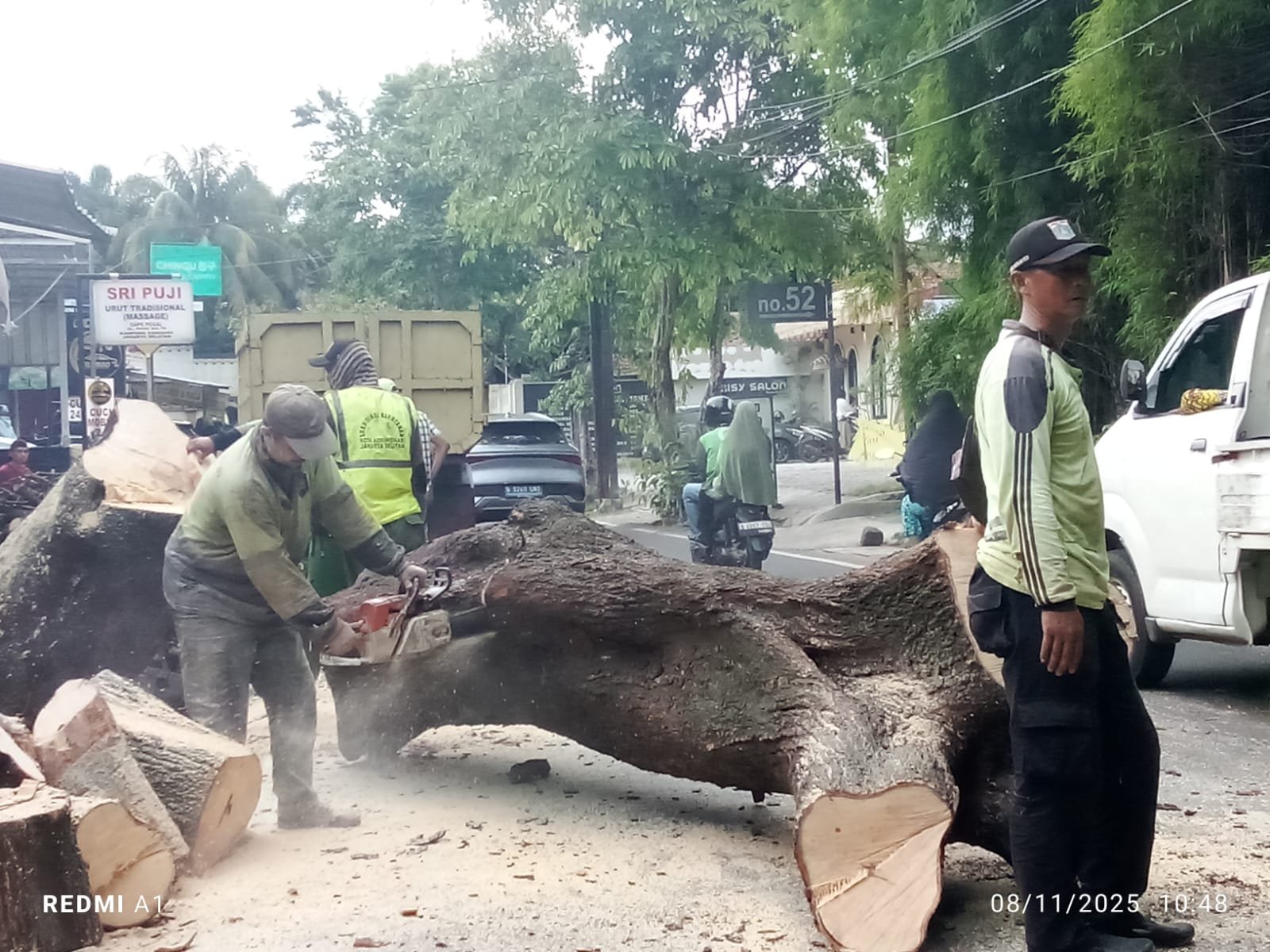 Pohon Asem Raksasa di Paso Jagakarsa Tuntas Ditebang