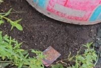 ILUSTRASI - dugaan tembakau sintetis gorilla yang ditemukan dan disembunyikan di pot tanaman milik warga area Hutan Kota Pulo Gebang, Cakung, Jakarta Timur, Minggu (16/11/2025). (Foto: suararealitas.co/Kipray).