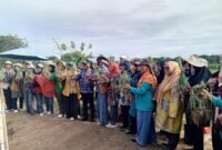 Camat Batuceper, A. Gufron Falfely, memberikan apresiasi terhadap program ini dan menekankan peran aktif masyarakat.“Kegiatan seperti ini sangat positif karena bisa memanfaatkan lahan tidur menjadi produktif dan memberikan inspirasi bagi warga lain. Kami akan terus mendorong seluruh RT/RW di Batuceper untuk mengikuti jejak panen ini,” ujar Gufron.