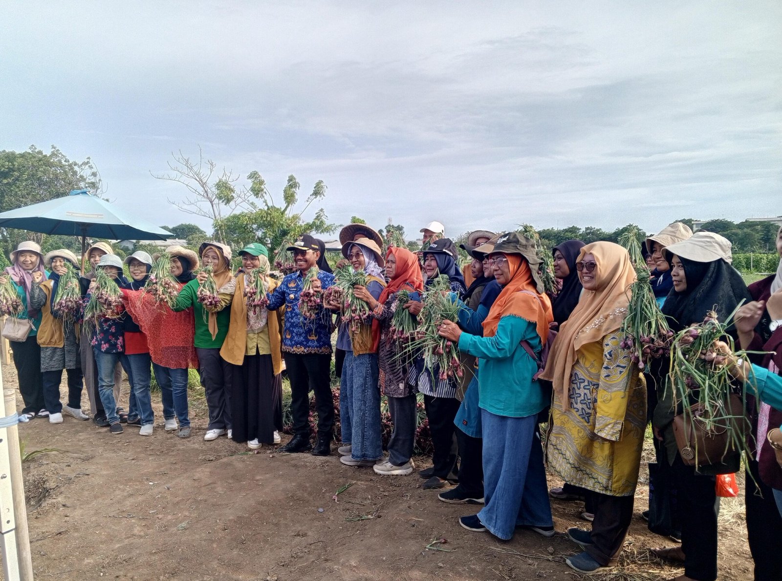 Dari Lahan Tidur ke Panen Super, Warga Batuceper Bisa Meniru Agus
