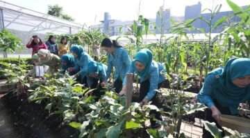 Pemprov DKI Gelar Tanam Serentak bersama TP PKK