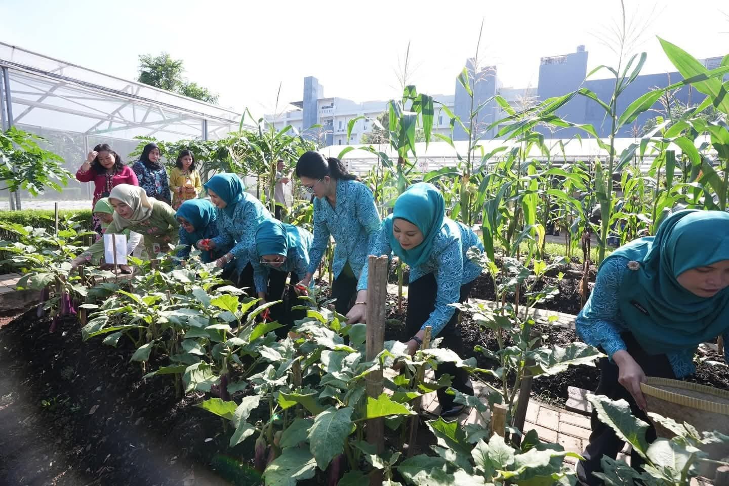 Pemprov DKI Gelar Tanam Serentak bersama TP PKK