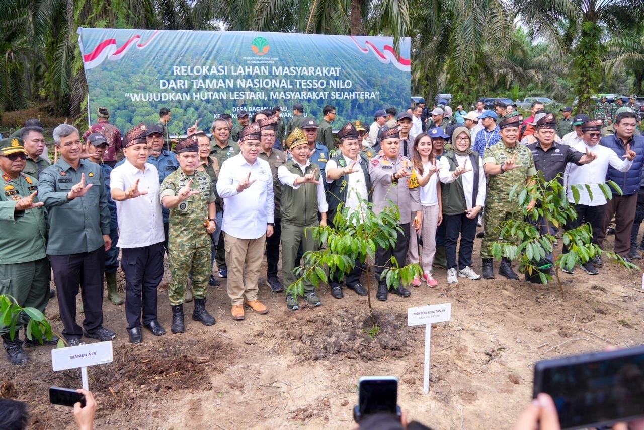 Upaya Kembalikan Fungsi Hutan, Pemerintah Mulai Relokasi Masyarakat dari Taman Nasional Tesso Nilo
