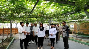 Direktorat Jenderal Penataan Agraria Kunjungi Agro Eduwisata Al Markaz, Lahan Produktif Dukung Ketahanan Pangan