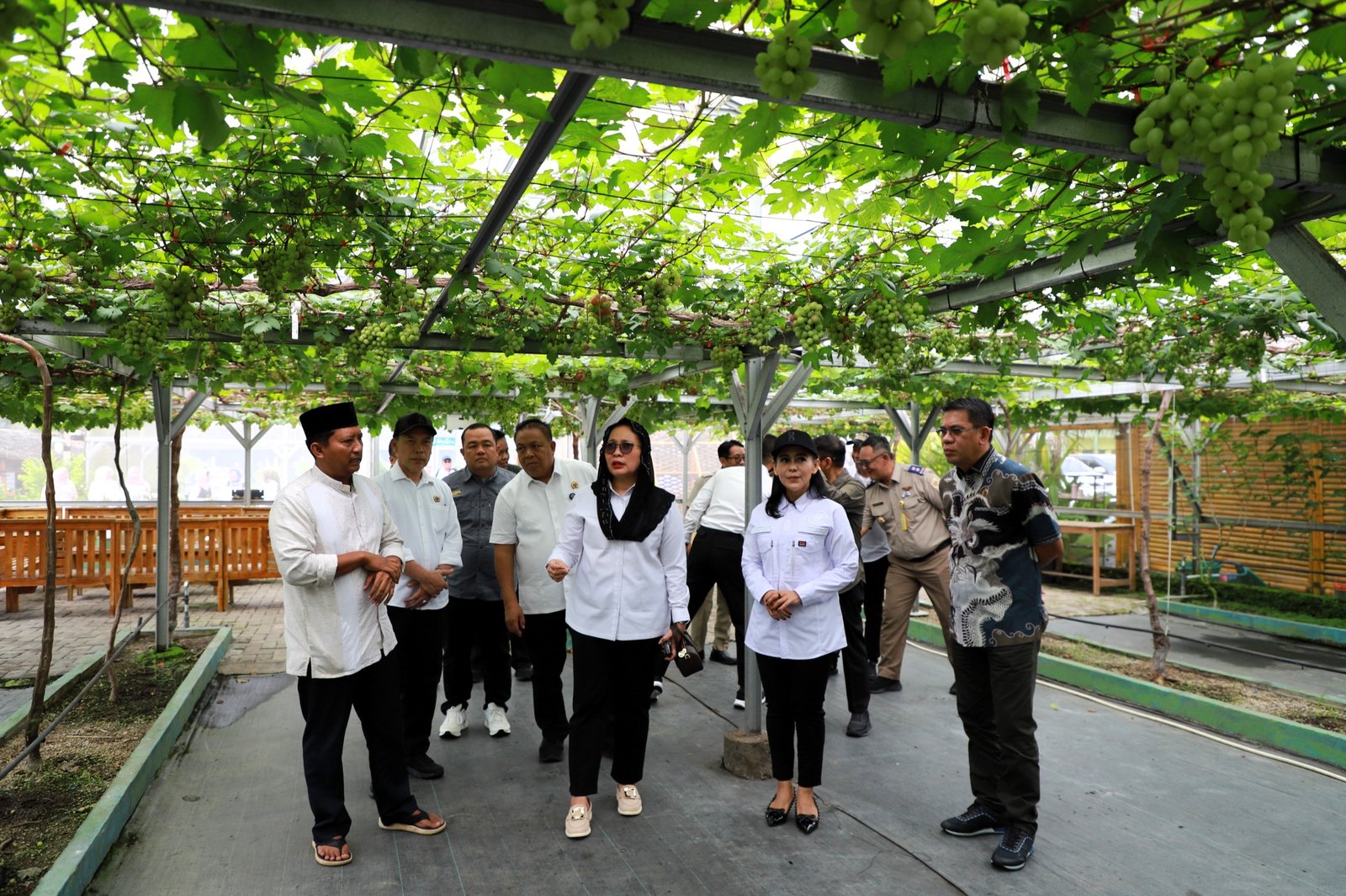 Direktorat Jenderal Penataan Agraria Kunjungi Agro Eduwisata Al Markaz, Lahan Produktif Dukung Ketahanan Pangan