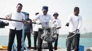 Modeling Budi Daya KKP Suplai Kebutuhan Lobster untuk Imlek di Batam