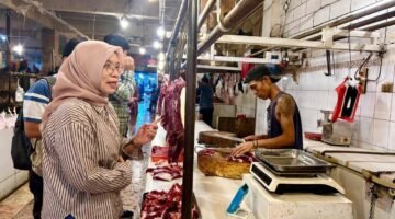 Kementan Sidak Pasar di Depok, Harga Ayam dan Daging Selama Puasa Tetap Normal