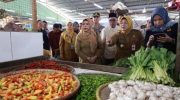 Wakil Bupati Tangerang Temukan Kenaikan Signifikan pada Cabai Rawit Merah