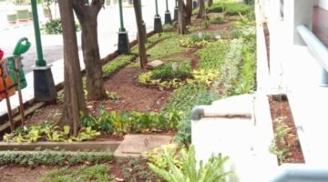 Kantor Kota Administrasi Jakarta Utara Berbenah Total, Wujudkan Lingkungan Bersih dan Indah