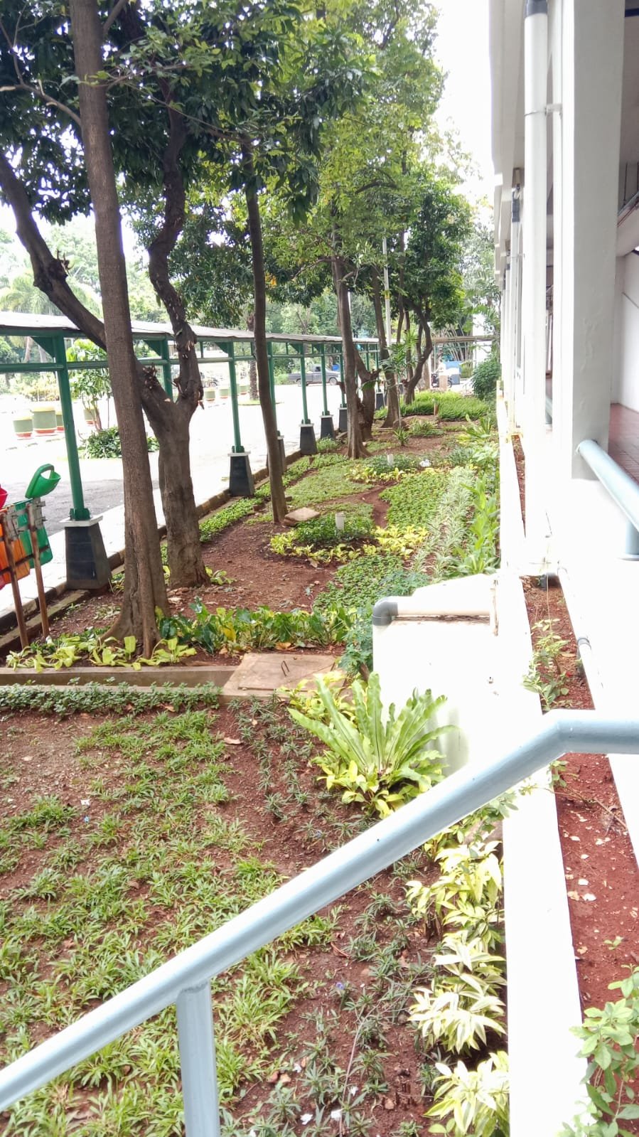 Kantor Kota Administrasi Jakarta Utara Berbenah Total, Wujudkan Lingkungan Bersih dan Indah