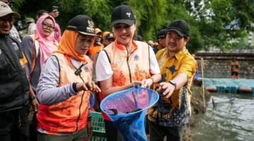 Pemkot Jakarta Barat Kendalikan Ikan Sapu-Sapu di Kali TSI, 75 Kg Berhasil Dikumpulkan