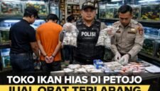 POTRET - toko penjual ikan hias berkedok menjual pil koplo atau obat daftar G. (Foto: ILUSTRASI/Ist).