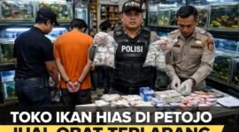 POTRET - toko penjual ikan hias berkedok menjual pil koplo atau obat daftar G. (Foto: ILUSTRASI/Ist).