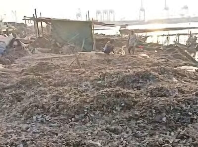 POTRET - tumpukan limbah cangkang kerang hijau yang menggunung di kawasan pesisir Cilincing, Jakarta Utara. (Foto: Suara Realitas).