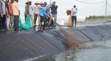 KKP: Modeling Tambak BUBK Kebumen Kembali Panen