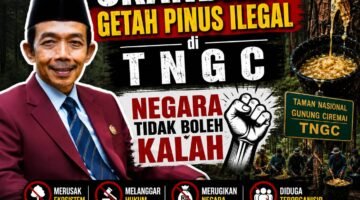 Skandal Getah Pinus Ilegal di TNGC: Negara Tidak Boleh Kalah  
