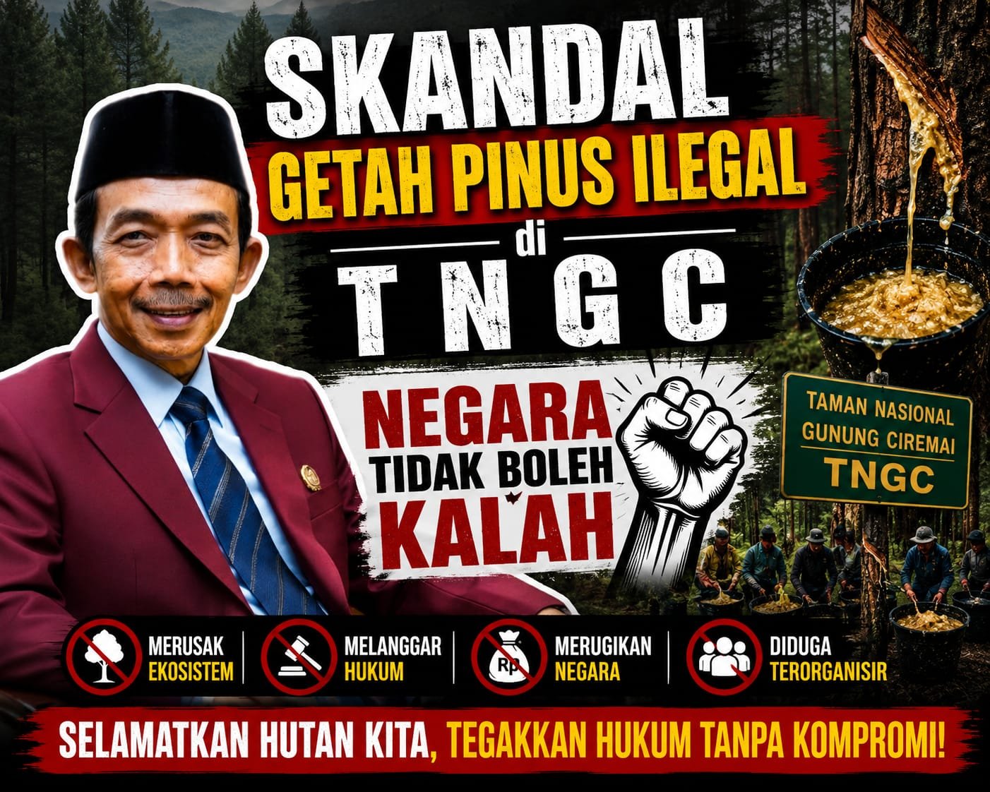 Skandal Getah Pinus Ilegal di TNGC: Negara Tidak Boleh Kalah  