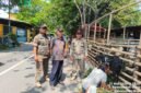 POTRET - Petugas Satpol PP saat menertibkan lapak pedagang hewan kurban. (Foto: Istimewa).