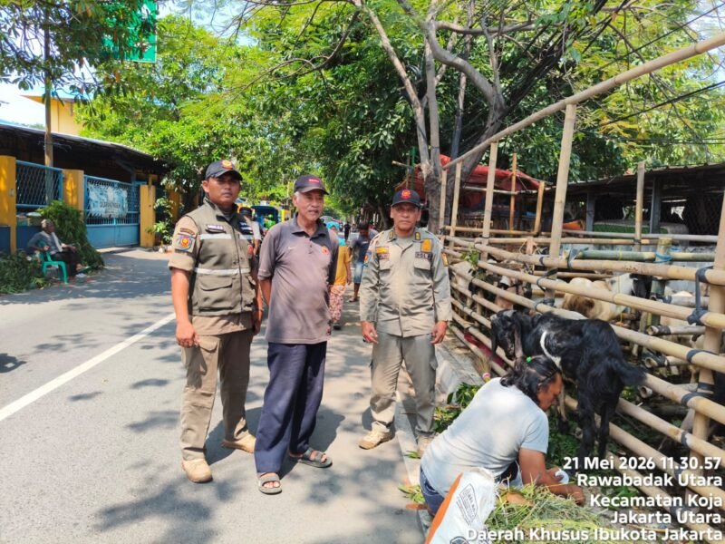 POTRET - Petugas Satpol PP saat menertibkan lapak pedagang hewan kurban. (Foto: Istimewa).