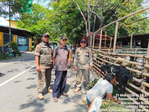 Satpol PP Tertibkan Lapak Pedagang Hewan Kurban yang Jual di Trotoar Koja Jakarta Utara