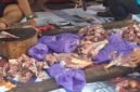 POTRET - hewan kurban yang siap didistribusikan ke anggota Forum Jurnalis Hitam Putih sekaligus ke warga sekitar. (Foto: Suara Realitas/Za).