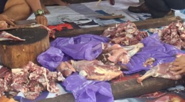 POTRET - hewan kurban yang siap didistribusikan ke anggota Forum Jurnalis Hitam Putih sekaligus ke warga sekitar. (Foto: Suara Realitas/Za).