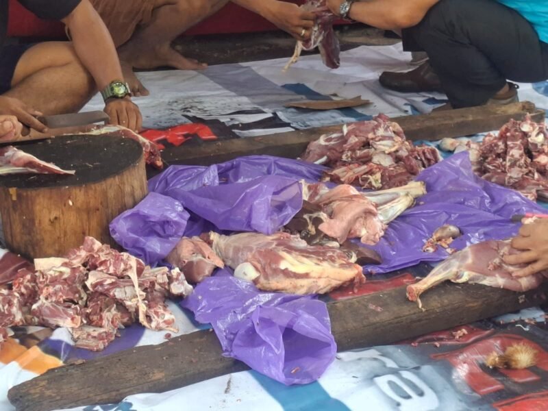 POTRET - hewan kurban yang siap didistribusikan ke anggota Forum Jurnalis Hitam Putih sekaligus ke warga sekitar. (Foto: Suara Realitas/Za).