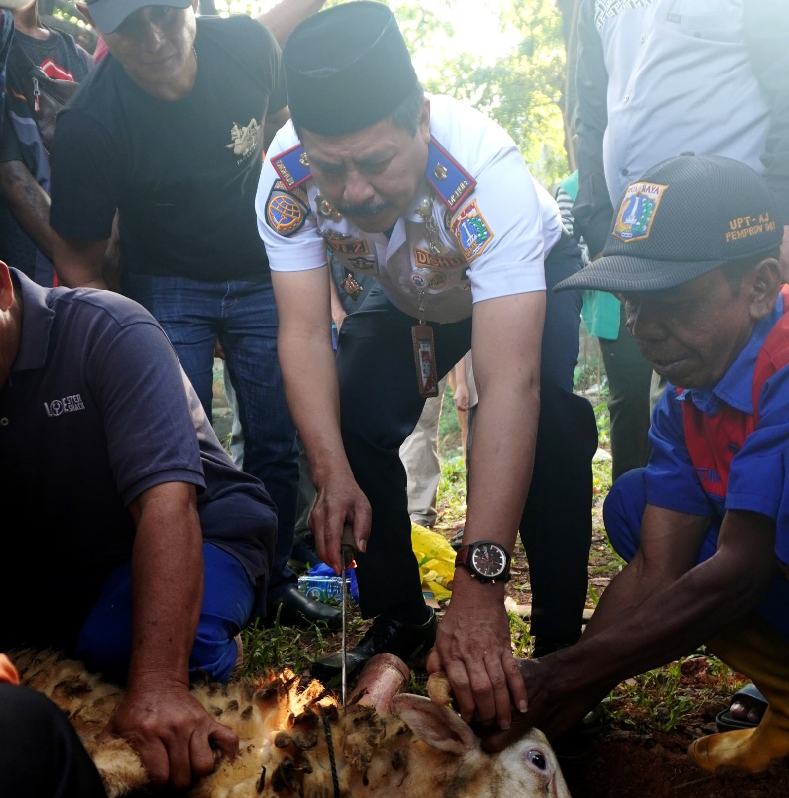 Terbus Kampung Rambutan Sembelih 7 Kambing Kurban, Pererat Kebersamaan Masyarakat Terminal