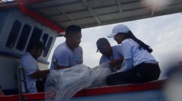 Sinergi KKP Lepasliarkan Puluhan Ekor Hiu Hasil Penangkaran