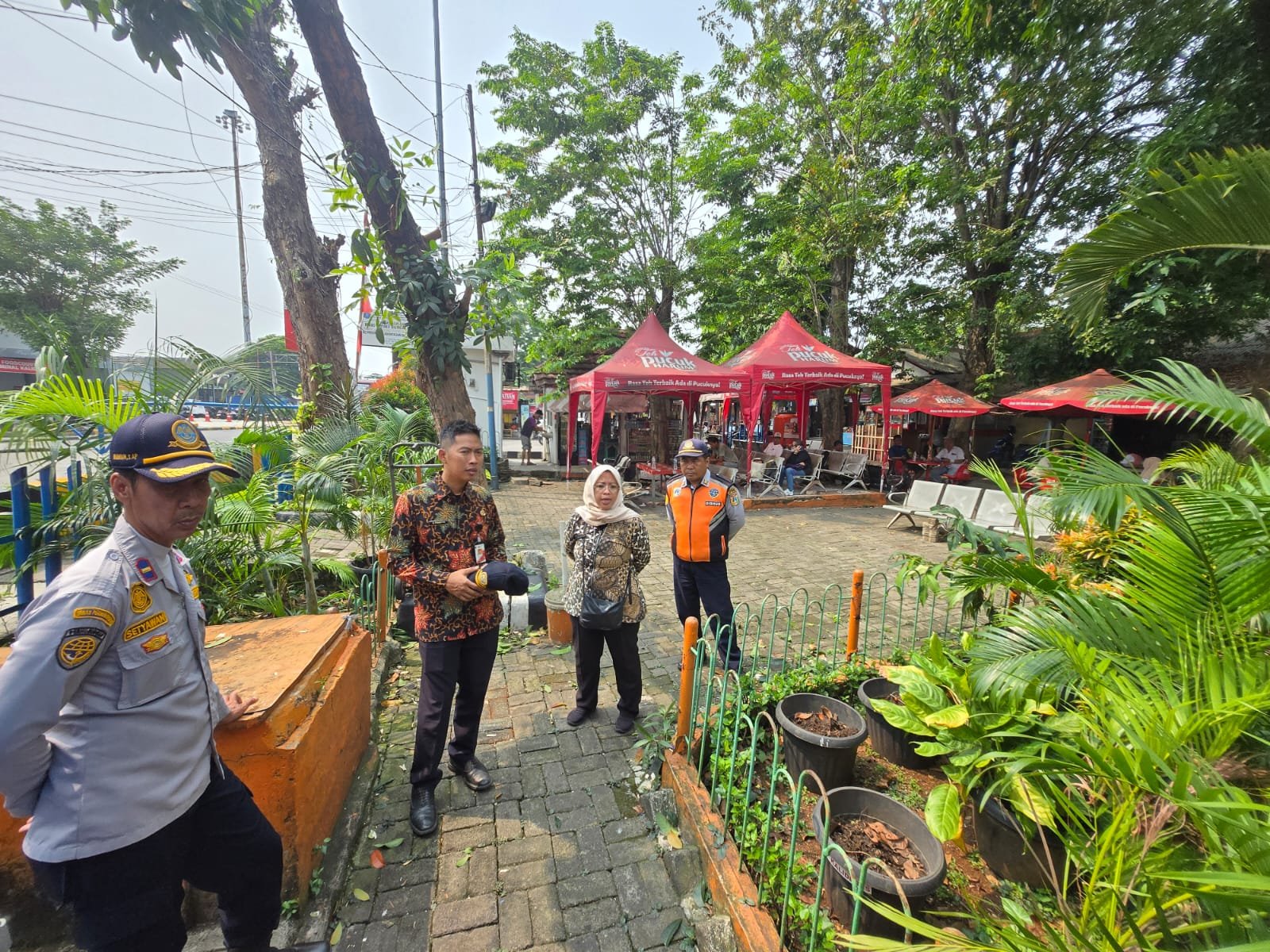 Terminal Kalideres Bakal Dihijaukan, 19 Pohon Tabebuya Siap Ditanam pada 26 Juni 2026